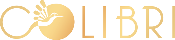 Logo de Colibri, lettrage incluant un oiseau sur fond de soleil dans le "o"
