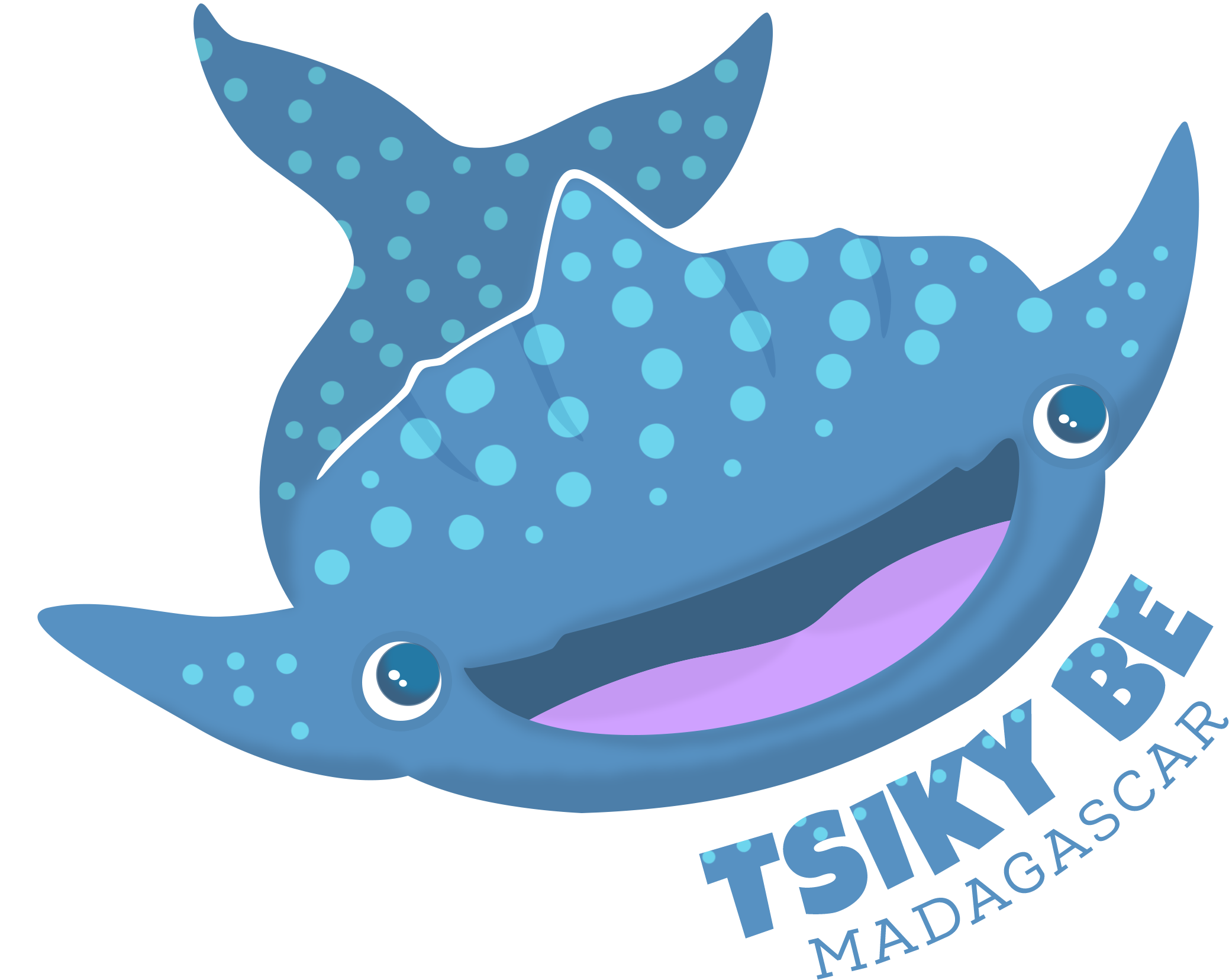 Logo final retenu : un requin-baleine vu de face, souriant, joyeux